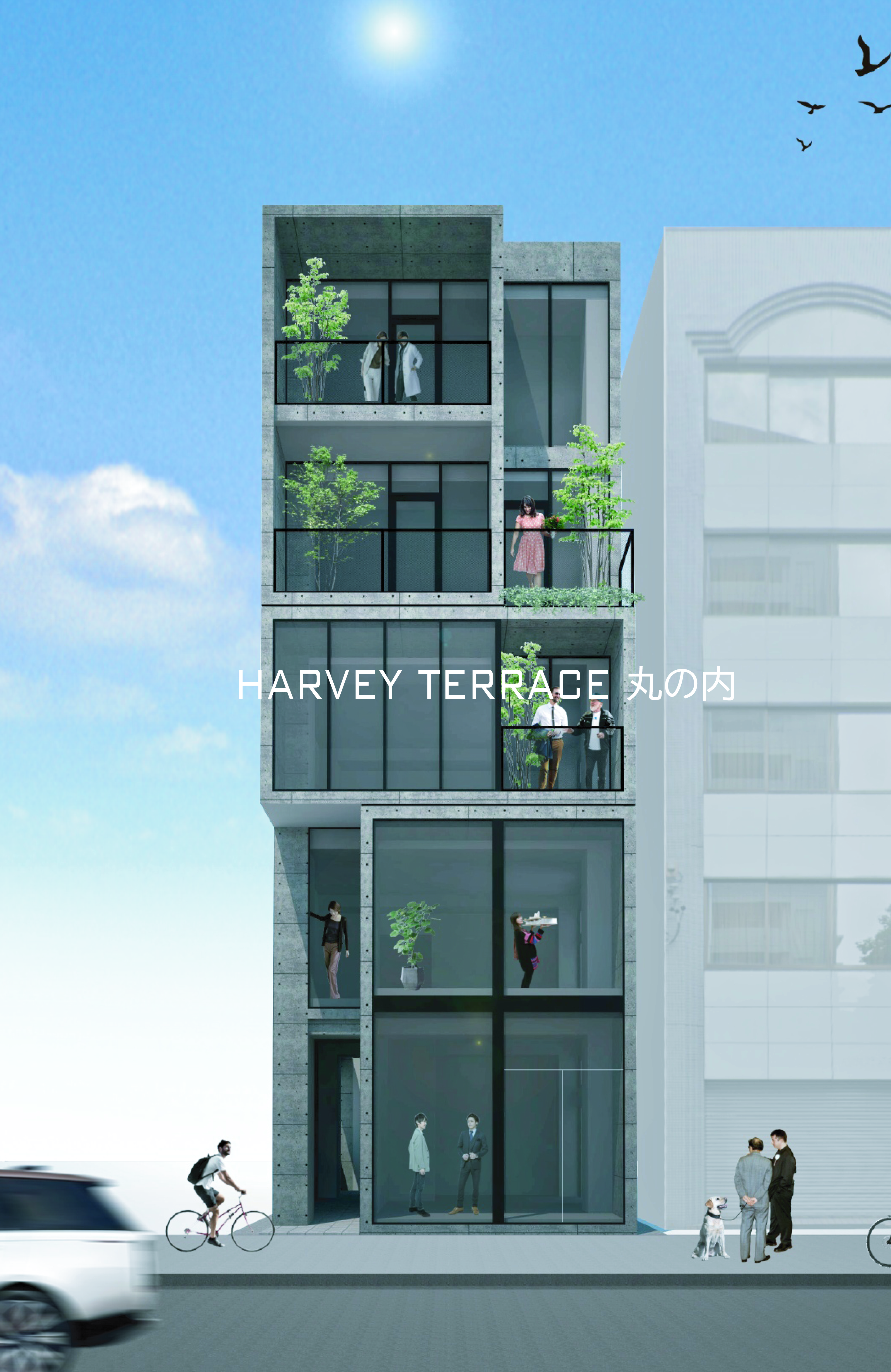 HARVEY TERRACE 丸の内